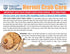 Store 2 3 Live Hermit Crabs Shipped Now-with Premium Hermit Crab Shells: Land Crabs with Extra Shells from Nature Gift