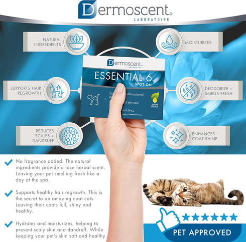 6 Bayer Dermoscent Essential Spot On Skin Care for Cats Pet Itch Remedies