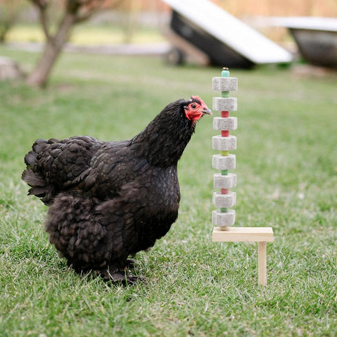 Oooct 2 Pack Chicken Chewing Toy, Chick Beak Grinding Calcium Stone with Wood Stake, Chicken Cage Accessories, Cage