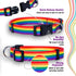 Native Pup Rainbow Flag Dog Collar, Medium, LGBTQ Flags Equality Pet Apparel Decor Gift
