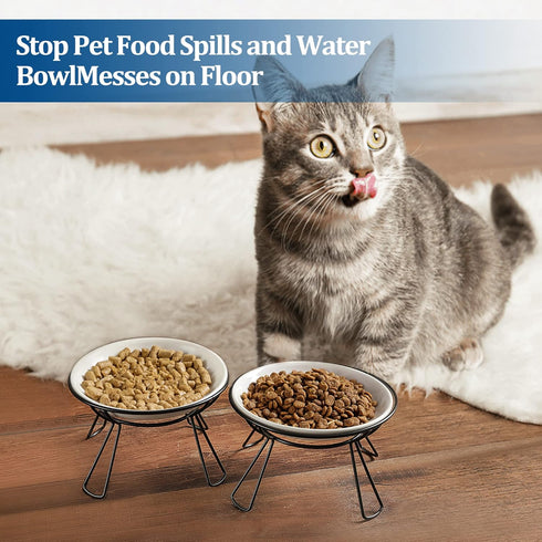 Elevated Cat Bowls, Raised Ceramic Dish with Metal Stand for Indoor Cats, 2 Pack