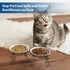 Elevated Cat Bowls, Raised Ceramic Dish with Metal Stand for Indoor Cats, 2 Pack