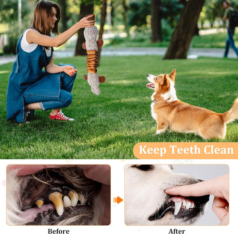 Qiiiiian Squeaky Dog Toys, Stuffed Large Dog Toys to Keep Them Busy, Interactive Plush Chew Toys with Crinkle Paper