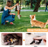 Qiiiiian Squeaky Dog Toys, Stuffed Large Dog Toys to Keep Them Busy, Interactive Plush Chew Toys with Crinkle Paper