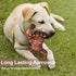 PETSTA Indestructible Dog Toys for Aggressive Chewers, Tough Real Beef Flavored Dog Bone for Large Breeds
