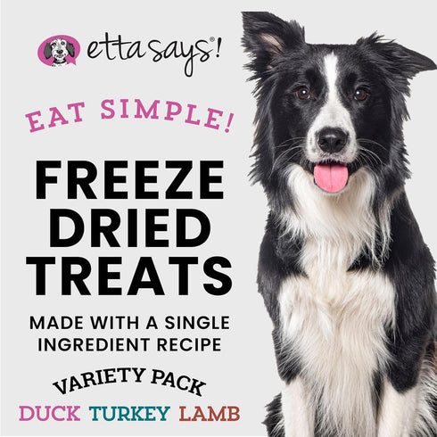 etta says! Eat Simple Freeze Dried Treats for Dogs Variety – Duck, Turkey, Lamb - 100% Real Meat, Pack of 3