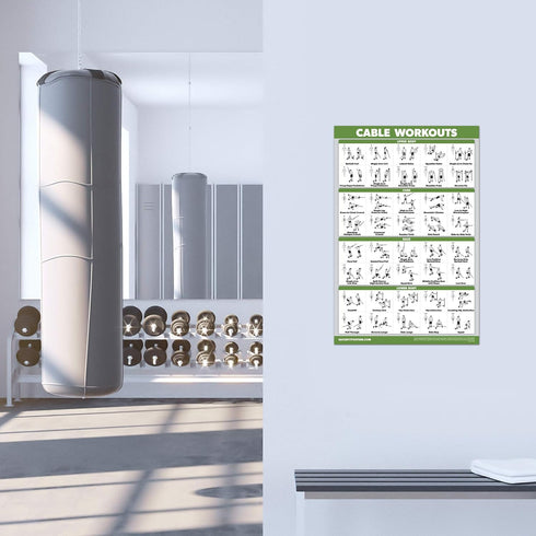 Palace Learning 3 Pack Workout Charts - Dumbbell, Barbell, and Cable Machine Exercises (LAMINATED, 18” x 24”)