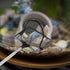 2pcs Homoyoyo Aquarium Fish Nets with Fine Mesh and Telescoping Handle Small Extendable Fish and Shrimp Net for Tank