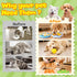 10-Pack Set Forfon Curated Dog Puzzle Toys for Boredom and Mental Stimulation, Enrichment Toy with Slow Feeder Bowl