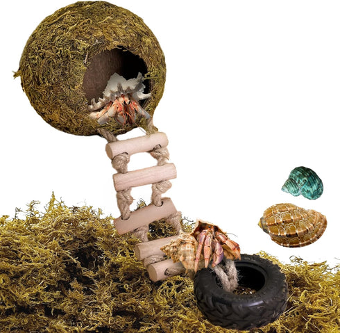 Hermit Crab Moss Coconut Shell Hideout with Climb Ladder,Leopard Gecko Hide Hut