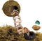 Hermit Crab Moss Coconut Shell Hideout with Climb Ladder,Leopard Gecko Hide Hut