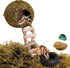 Hermit Crab Moss Coconut Shell Hideout with Climb Ladder,Leopard Gecko Hide Hut