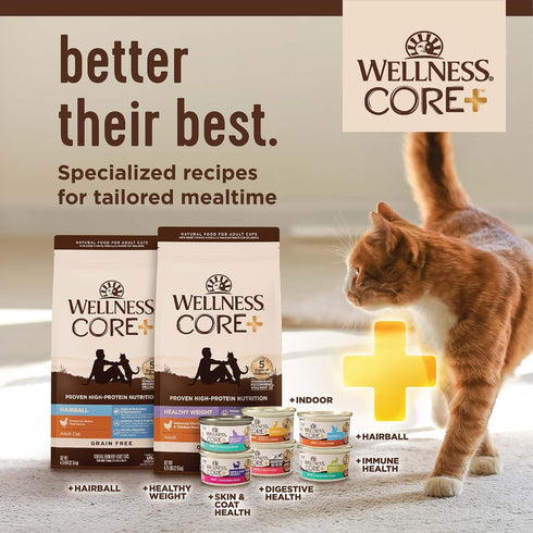 Wellness CORE+ Natural Grain-Free, High Protein Adult Dry Cat Food, Salmon and Herring Meal, 5 Pound Bag