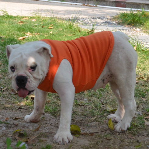 Lovelonglong 2019 Summer Pet Clothing, Dog Blank T-Shirts, Ribbed Tanks for Large Medium Small Dogs (100% Cotton,