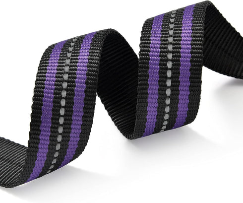Mile High Life Reflective Dog Collar, Nylon Pet Collars with Buckle, Purple for Small Dogs (X-S)