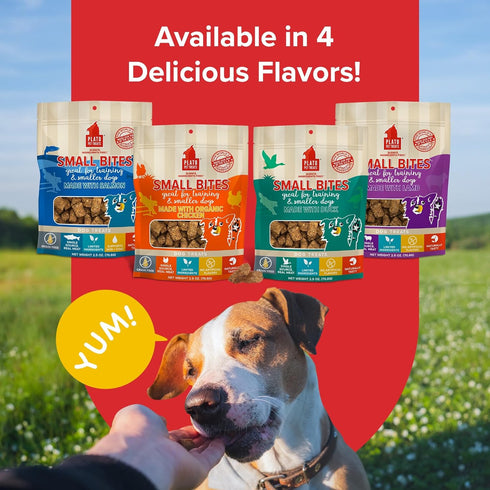 PLATO Small Bites Dog Treats - Natural Real Meat & Chicken Flavor, Grain Free, 2.5 Ounces