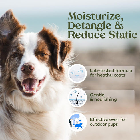 PAWFUME Premium Grooming Spray Dog Deodorizer Perfume - Long Lasting Cologne Spray for Dogs (Blue Ribbon, 2-Pack)