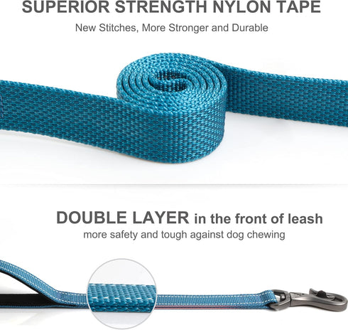 Fida 4 FT Heavy Duty Dog Leash with 2 Padded Handles, Traffic Handle & Easy Snap Hook, Reflective Walking Lead