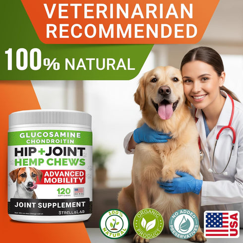 120 Advanced Hemp + Glucosamine Dog Joint Supplement - Hip Joint Pain Relief - Mobility Chews for Dogs - Chondroitin
