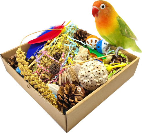 SUAIOLOAQ Natural Bird Foraging Toys, Interactive Chew Toys, Perfect for Parakeets, Cockatiels, Conures,