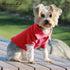 Parisian Pet Dog Polo Shirt, Breathable Cotton, Solid Color Summer Pullover, Pink for Medium Dogs