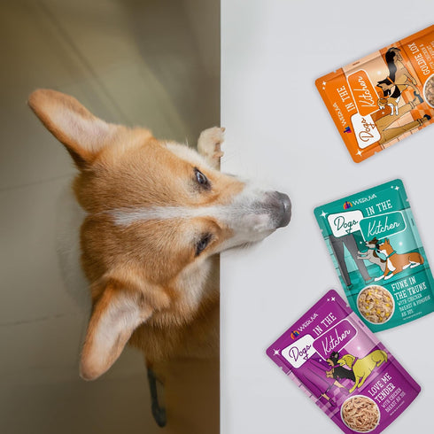 Weruva Dogs in The Kitchen, Variety Pack, Pooch Pouch Party!, Wet Dog Food, 2.8 oz Pouches, Pack of 12