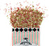 Holiday SuperFetti Dog Sprinkles 3oz - Organic Food Topper Made from Coconut, Red & Green Treat