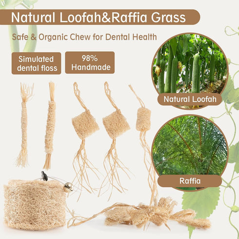 Quatendril Toys-7pcs Cat Chew Toy-Natural Loofah Raffia Catnip Handmade Gum Massage Teether w/ Cat Wand Toy
