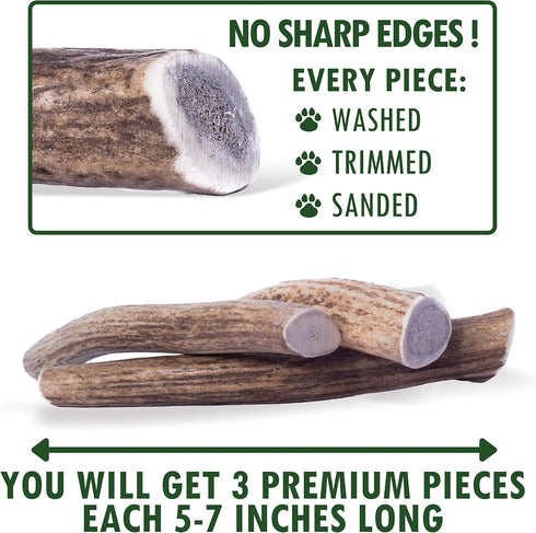 Wildeers Elk Antlers for Dogs - Medium, 3-Pack, Naturally Shed, Grade A, 5-7 inch, Long Lasting Chews for Aggressive