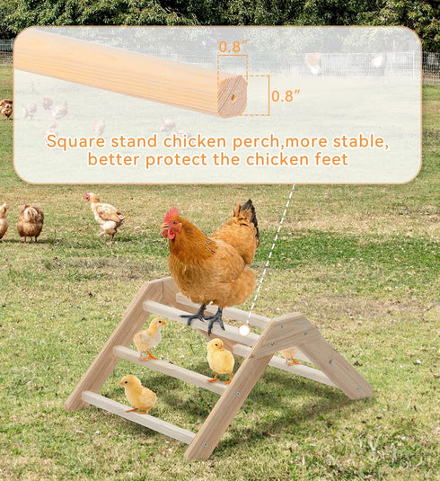 PETSFIT Chick Perch Prevent Rotation Design, Strong Wooden Chicken Roosting Bar, Easy to Assemble and Clean, Fun Toys