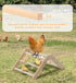 PETSFIT Chick Perch Prevent Rotation Design, Strong Wooden Chicken Roosting Bar, Easy to Assemble and Clean, Fun Toys