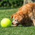 2 Pack Big Tennis Ball for Dogs - Inflatable Giant Tennis Balls, 9.5" and 8", Large Pet Toys for Outdoor Sports