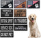 Service Dog Patches Set, 10 Pack Removable Dog Vest Patches for Harness, In Training