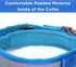 Pawtitas Lumberjack Padded Martingale Collar for Dogs, XS Blue, Soft Neoprene, Reflective Band for Visibility