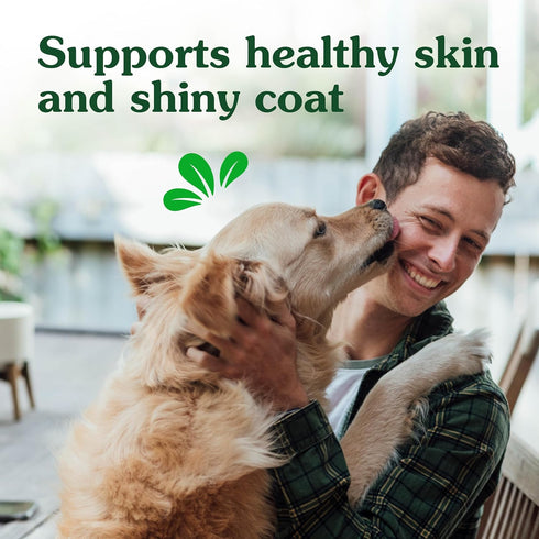 Greenies Skin & Coat Supplement for Dogs, 80-Count Tub Soft Chews with Fish Oil, Omega-3s, and Linoleic Acid