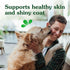 Greenies Skin & Coat Supplement for Dogs, 80-Count Tub Soft Chews with Fish Oil, Omega-3s, and Linoleic Acid