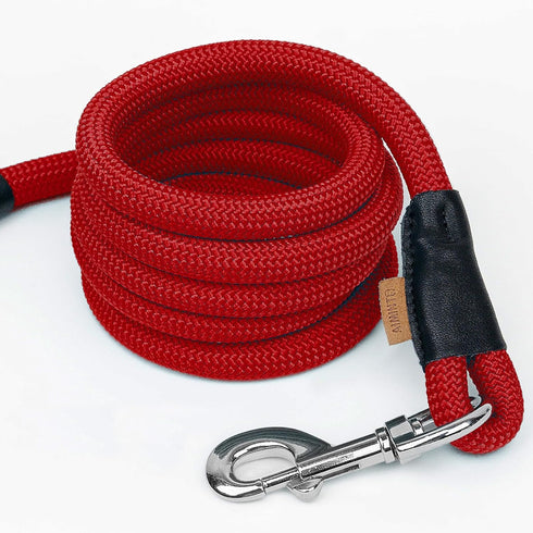 Dog Leash, Braided Rope Traction Lead for Small/Medium Dogs (1/3") - 6FT, Red
