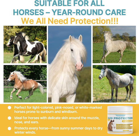 Qanoreth Seasons,8 oz Horse Sunscreen for Nose & Sensitive Pink Skin Natural Sunscreen for Horses with Non-Nano Zinc