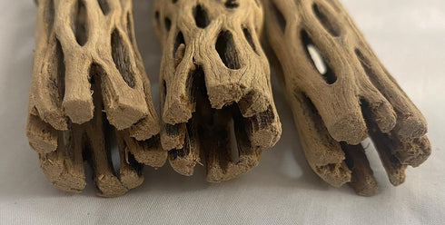 Awesome Aquatic Natural Cholla/Choya Wood, 3 Pieces 6” for Shrimp Habitat, Chew Toys, and Aquarium Decoration