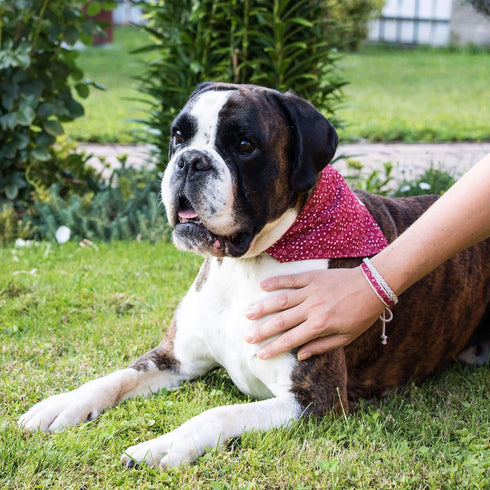 Pettsie Adjustable Dog Bandana Collar with Matching Owner Bracelet - Soft Hemp Scarf Set for Small Dogs, Red