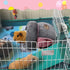 YUEPET Cozy Guinea Pig Bed Cuddle Cave, Warm Fleece Bedding Cushion Nest for Small Animals, Grey