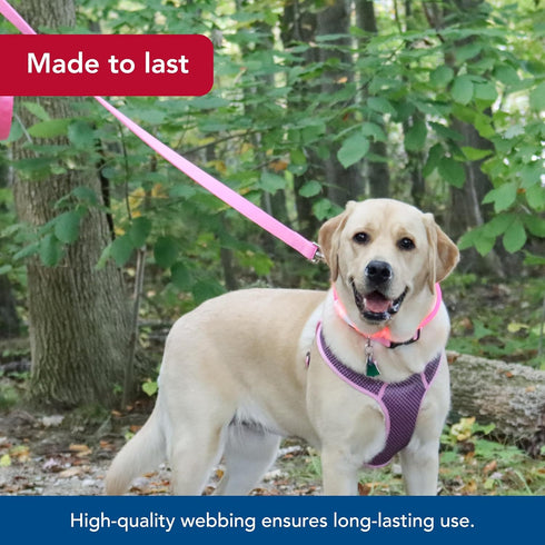 Coastal Pet Double-Ply Dog Leash - Pink Bright, 1" x 6' with Bolt Snap Attachment