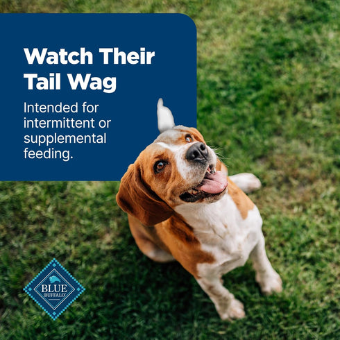 Blue Buffalo Nudges Jerky Bites Dog Treats, Chicken, 5 oz Bag, Made in the USA with Natural Ingredients