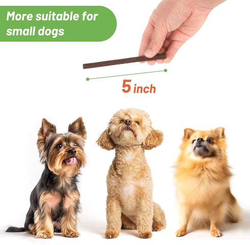 MON2SUN 5 Inch 25.4oz (96 Count-Pack 1) Dog Jerky Treats, Chicken Sticks (Chicken Liver Flavor) Rawhide Free Training