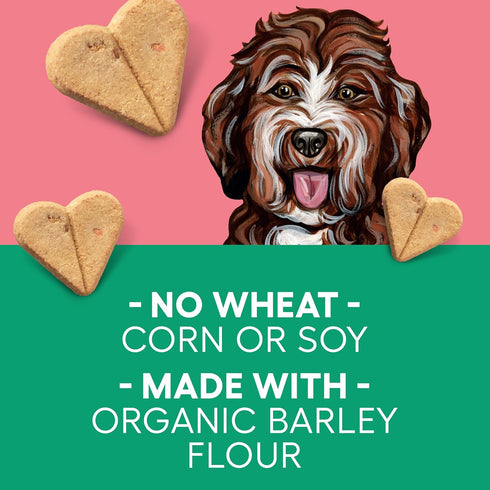 Newman's Own Dog Biscuits, 10-oz. (Pack of 6) - Bacon Flavor