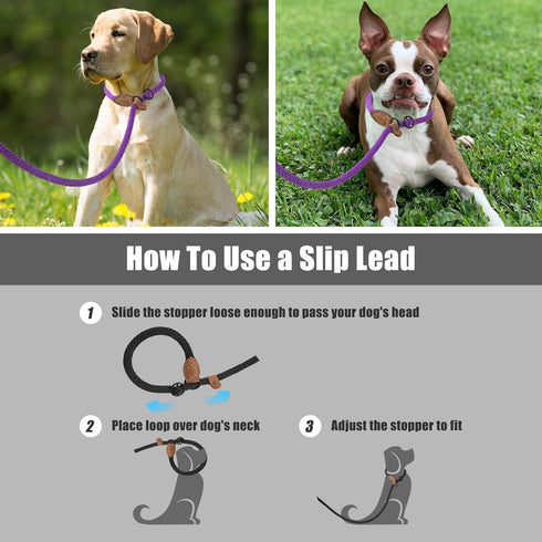 Mile High Life Slip Leads for Dogs, Heavy Duty Dog Training Leash, 4 Feet No Pull Slip Leashes with Leather Tip