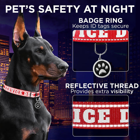 TECEUM Reflective Pet Collar - Red, XS Service Dog Collar with Extra Soft Padding, Quick Release Buckle