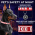 TECEUM Reflective Pet Collar - Red, XS Service Dog Collar with Extra Soft Padding, Quick Release Buckle