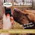 100% -4oz -2 Pack Farm Hounds - Beef Kidney - Premium Natural Beef Kidney Jerky For Dogs - Made From Humanely Raised