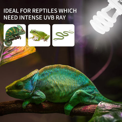 LUCKY HERP 5.0 13W Compact Fluorescent UVA UVB Light Tropical Terrarium Lamp